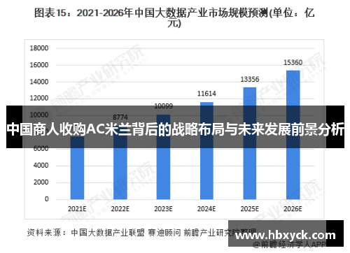 中国商人收购AC米兰背后的战略布局与未来发展前景分析