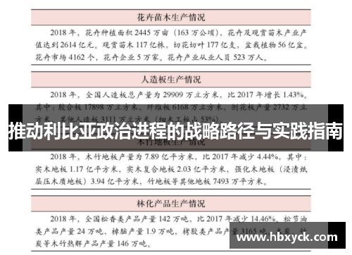 推动利比亚政治进程的战略路径与实践指南